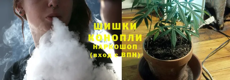 blacksprut tor  что такое наркотик  Новошахтинск  Шишки марихуана OG Kush 